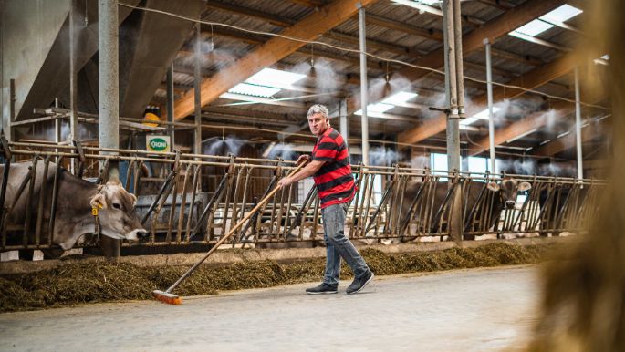 Hof-Heer_Heer_Ebertswil_Arbeit