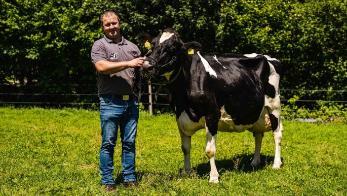 Moetschenhof_Lisser_Lostorf_Kuh