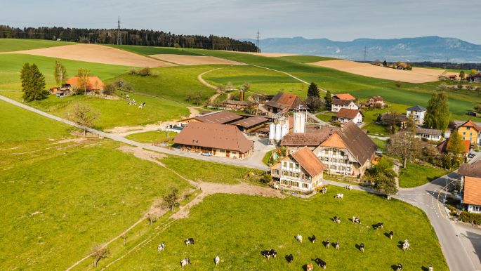 Eichhof_Weber_Grasswil_Drohne