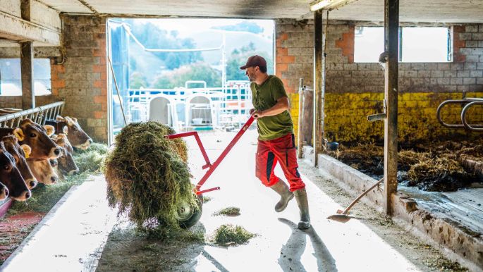 Honig_Blum_Roggliswil_Arbeit