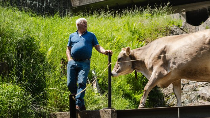 Dieden_Baumann_Wassen_Arbeit-1