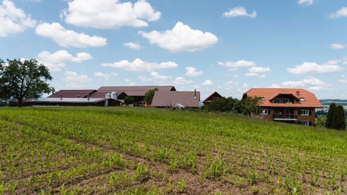 Sch?belberg_Erni_Ruswil_Hof