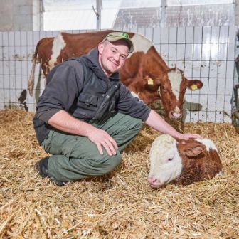 Sädelhof, Thomas und Jan Bühlmann-Scheidegger, Berikon_Stall mit Kuh_3