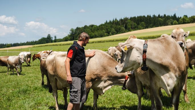 M?hlehof_Gauch_Bettwil_Arbeit-1