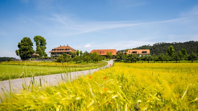 Melchenbuehlgut_Bigler_Guemligen_Hof