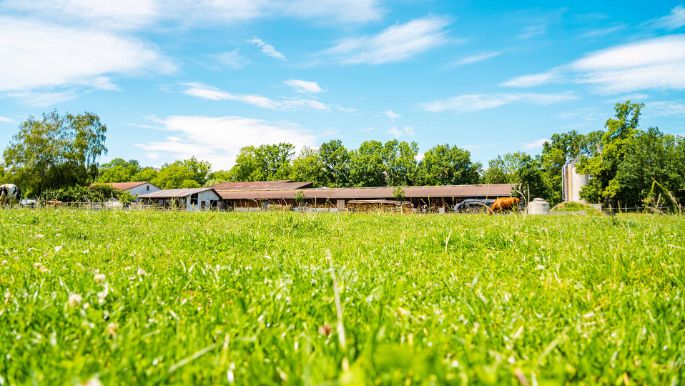 Eichhof_Krebs-Jenni_Bühl_b._Aarberg_Hof