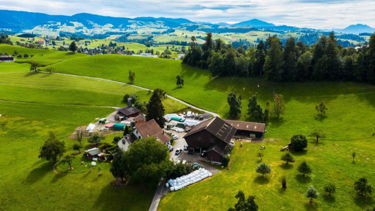 Hof_Grimm_Grimm_Hirzel_Drohne