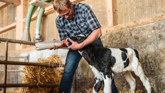 Buchacker_Meyer_Dintikon_Arbeit