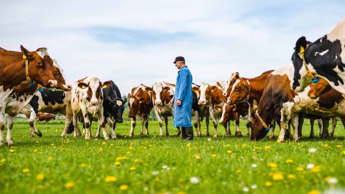 Windrosenhof_Wolleb_Lupfig_Arbeit_1