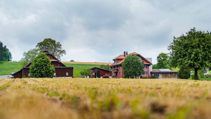 Gallee_Koch-Frey_Sempach_Hof