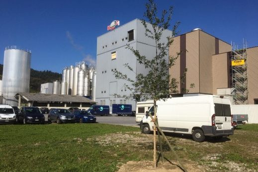 nachhaltigkeit-dagmersellen-jeder-beitrag-leisten-stage