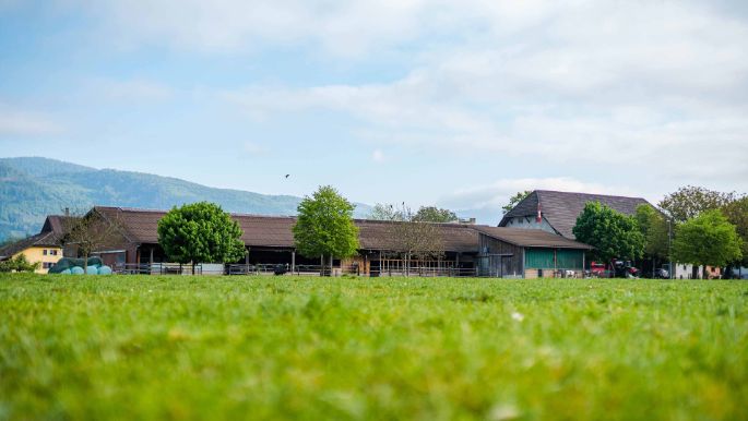 Lochmatthof_Klemens_Härkingen_Hof