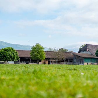 Lochmatthof_Klemens_Härkingen_Hof