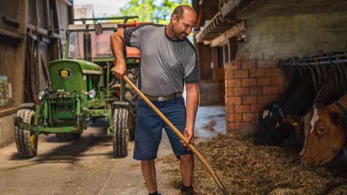 Eichhof_Krebs-Jenni_Bühl_b._Aarberg_Arbeit