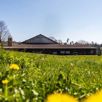 Wermatswiler Haldenhof_Meili_Wermatswil_Hof