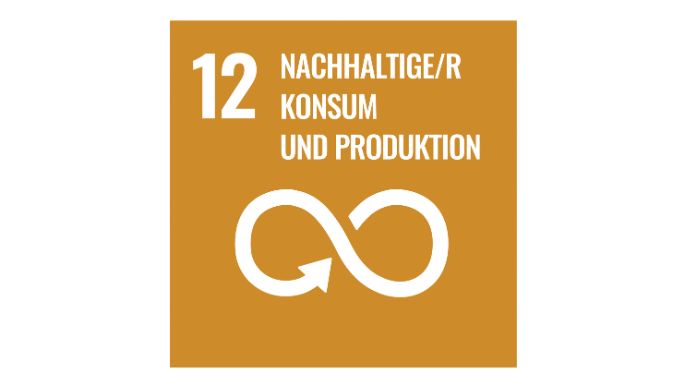 web-SDG_icons_DE-12-n