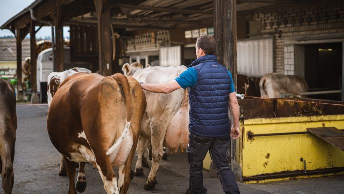 Schaubhus_Bucher_Urswil_Arbeit