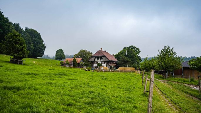 Amselberg_Wüthrich_Worb_Hof