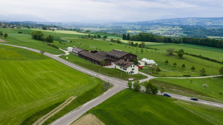Sa-delhof_Bu-hlmann_Berikon_Drohne