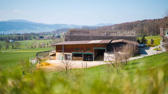 Buehlen_Zimmermann_Kleinwangen_Hof