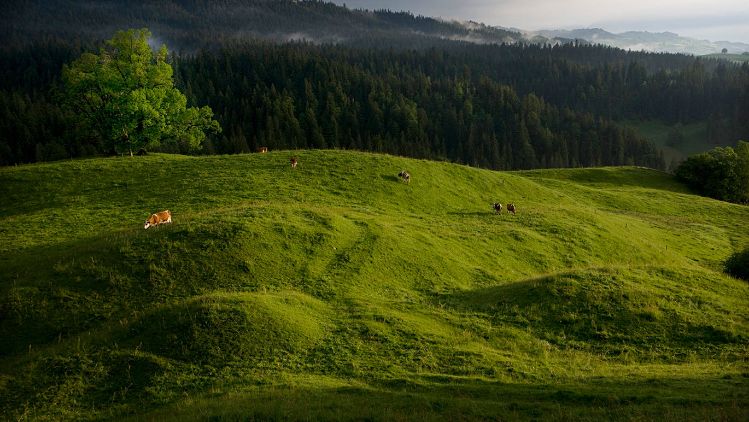 stories-emmiroth-sustainability-teaser-s