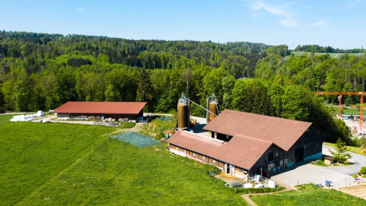 Sonnenhof_Schneider_Fisibach_Drohne