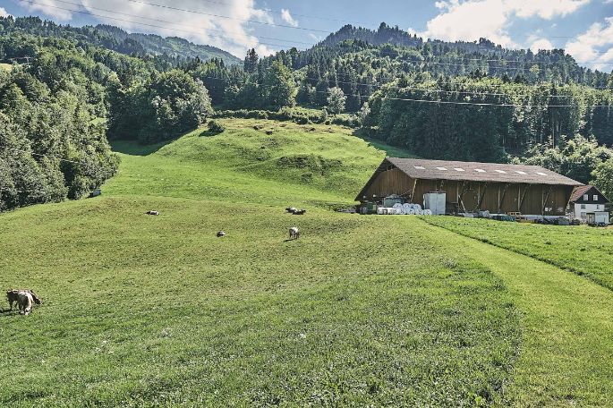 Schluchen_Sturzenegger_Filzbach_Hof