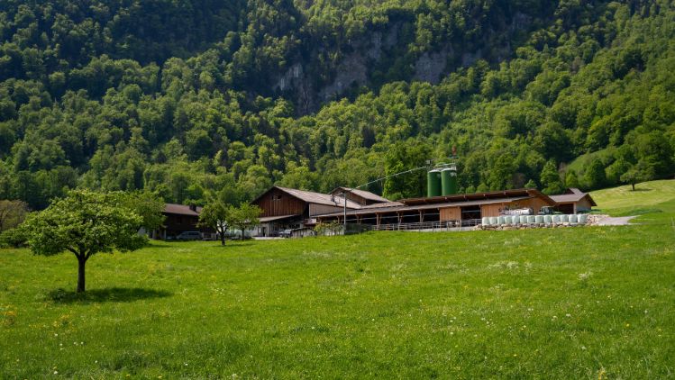 Bleichi---Andreas-Krieg_Krieg_Niederurnen_Hof