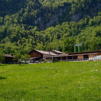 Bleichi---Andreas-Krieg_Krieg_Niederurnen_Hof