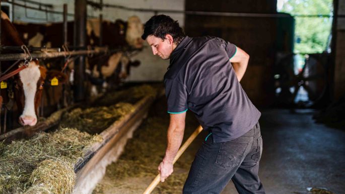 Hof_Grimm_Grimm_Hirzel_Arbeit