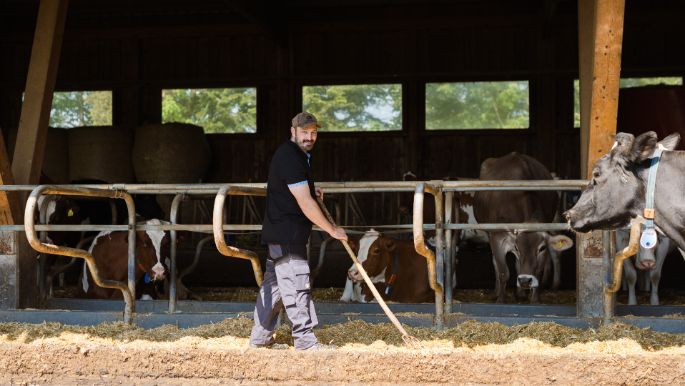 Bühlhof_Wolf_Niederglatt_Arbeit