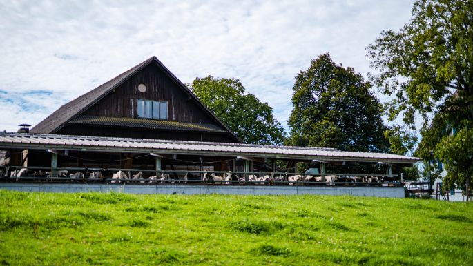 Gschweichhof_Geisseler_Triengen_Hof