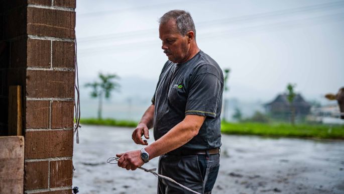 Hinterwies_Krummenacher_Root_Arbeit