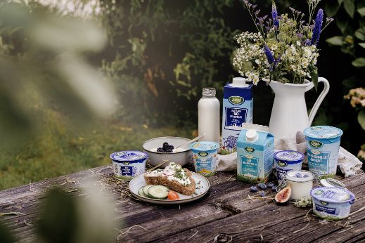 Schaf- und Ziegenmilchprodukte im Picknickdesign auf Holztisch