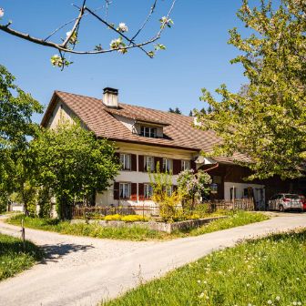 Talhof_Blaser_Seengen_Hof