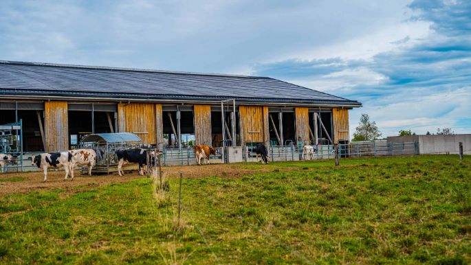 Grundhof_Schlegel_Unterboezberg_Hof