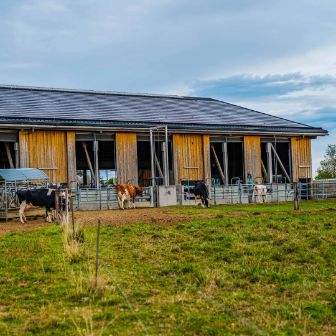 Grundhof_Schlegel_Unterboezberg_Hof