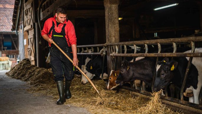 Schmidhof_Schmid_Lengnau_Arbeit
