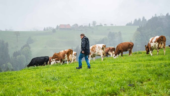 Brandsite_Aeschbacher_Heimisbach_Arbeit
