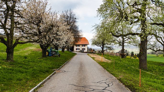 Landgut Widenmoos_Fischer_Winikon_Hof-2