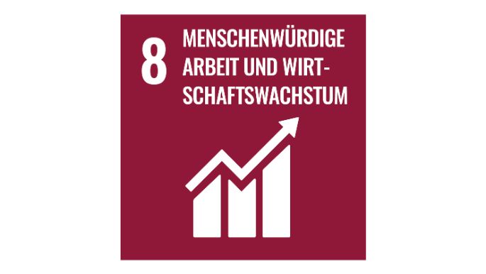 web-SDG_icons_DE-08-n