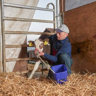 Gammerstall, Kurt Huber-Stalder, Muri_Stall_2