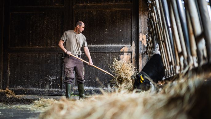 Glaendhof_Hofer_Rothrist_Arbeit