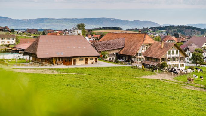 Eichhof_Weber_Grasswil_Hof