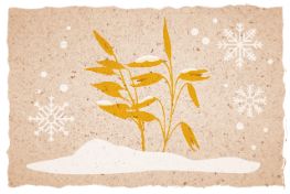 listicle-hafer-5_Winter