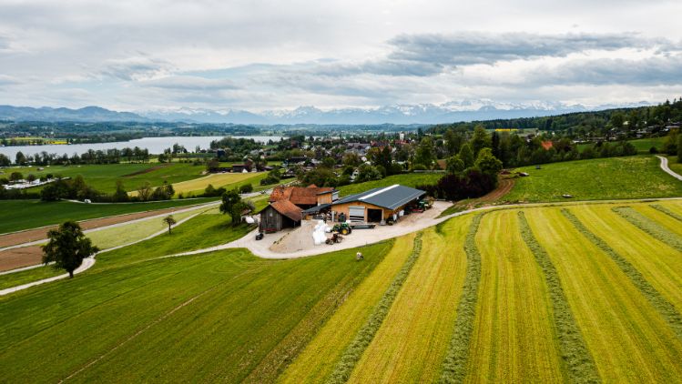 Familienhof-Trueb_Trueb_Maur_Drohne