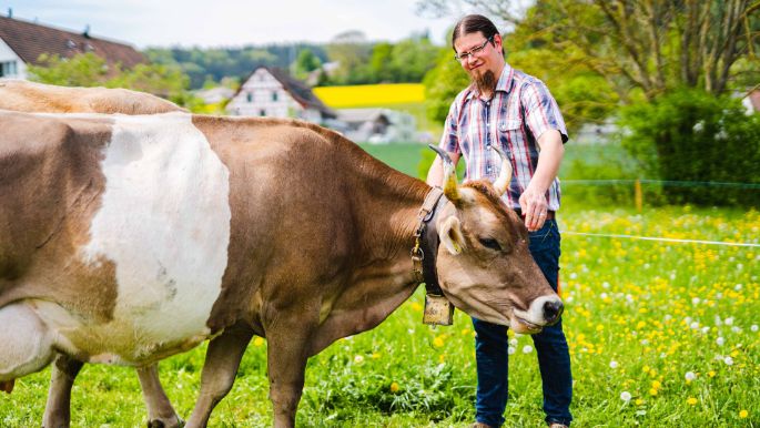 Hof_Spitznagel_Spitznagel_Stadel_Kuh_2