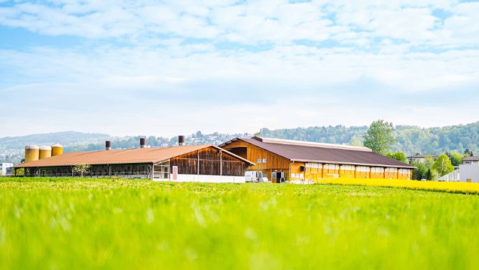 Storenächerhof_Wertli_Zufikon_Hof