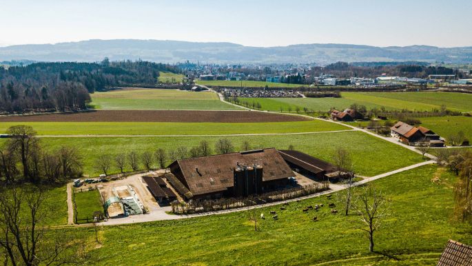 Wermatswiler Haldenhof_Meili_Wermatswil_Drohne