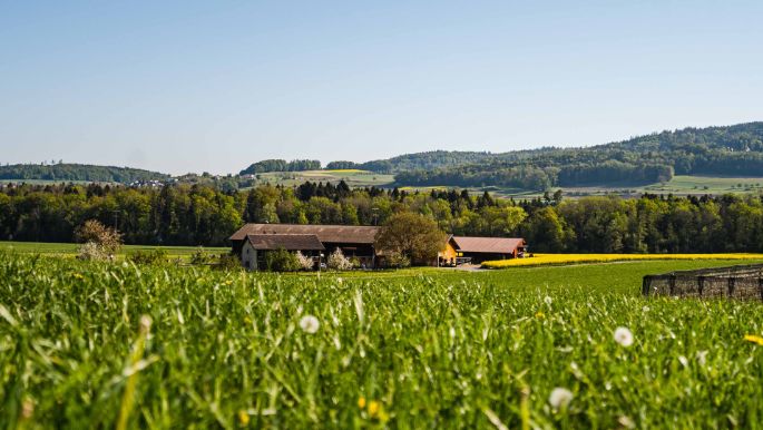 Hof Urech_Urech_Hallwil_Hof